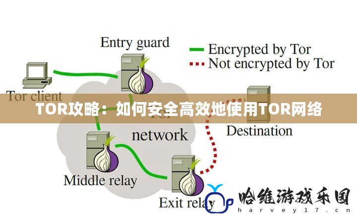 TOR攻略：如何安全高效地使用TOR網(wǎng)絡(luò)