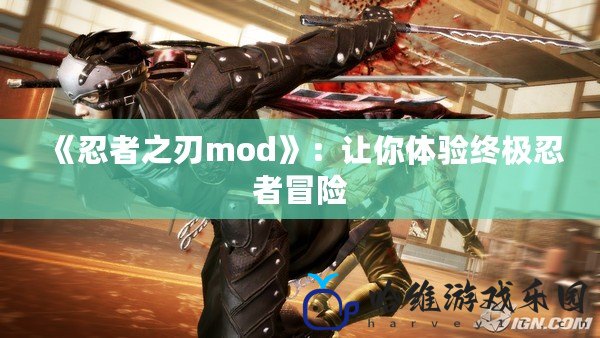 《忍者之刃mod》：讓你體驗終極忍者冒險