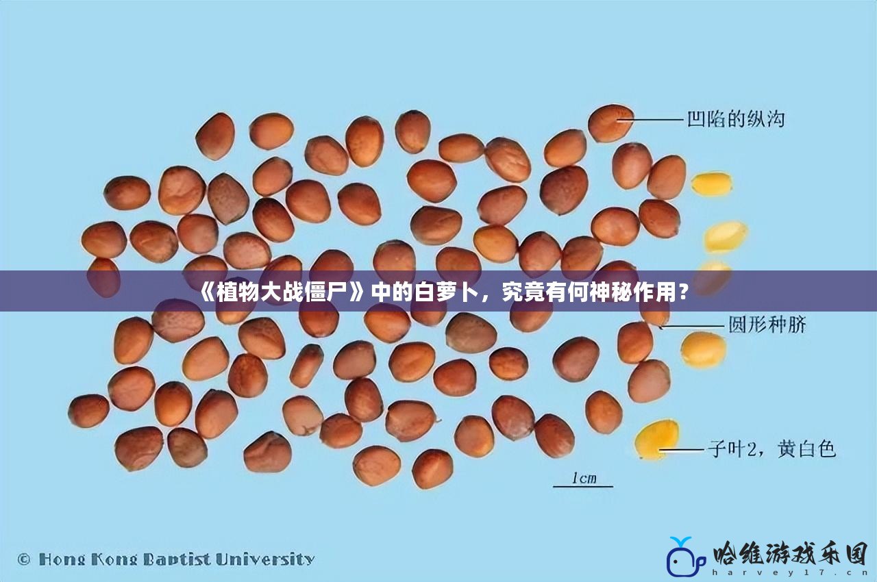 《植物大戰僵尸》中的白蘿卜，究竟有何神秘作用？