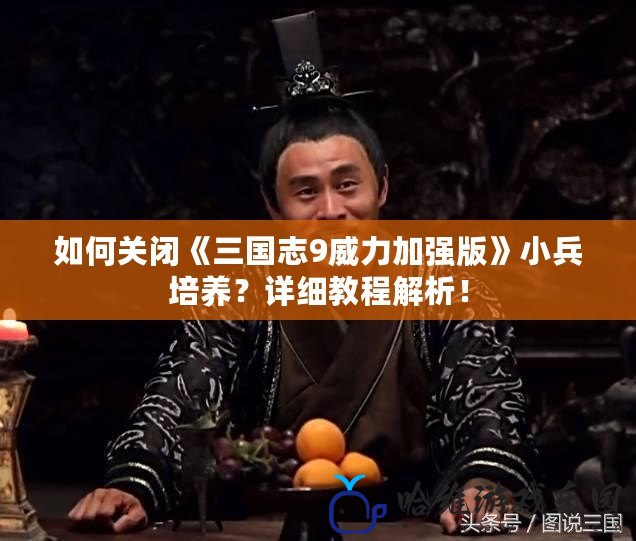 如何關閉《三國志9威力加強版》小兵培養？詳細教程解析！