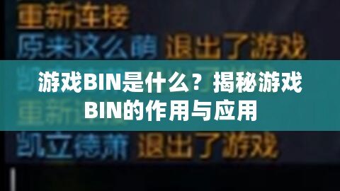 游戲BIN是什么？揭秘游戲BIN的作用與應用