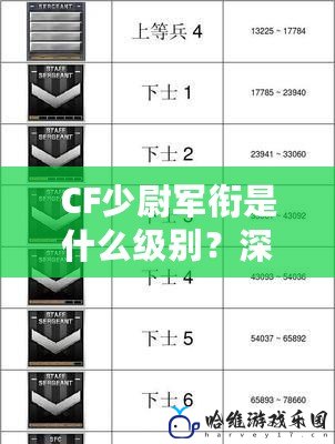 CF少尉軍銜是什么級別？深入解讀與全方位解析