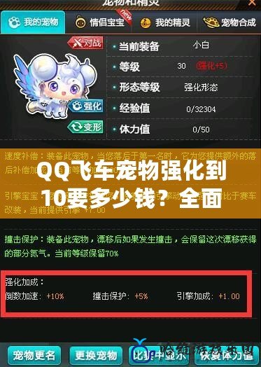 QQ飛車寵物強化到10要多少錢？全面解析你不可忽視的消費！