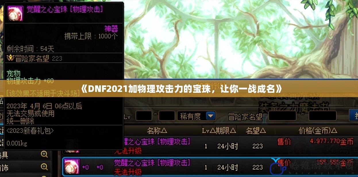 《DNF2021加物理攻擊力的寶珠，讓你一戰(zhàn)成名》