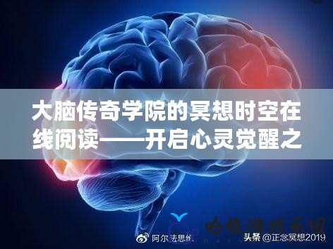 大腦傳奇學院的冥想時空在線閱讀——開啟心靈覺醒之門