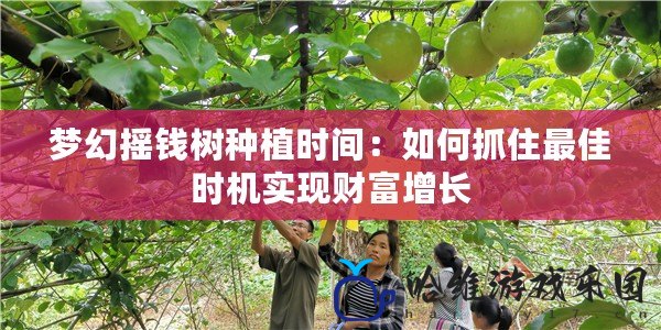 夢幻搖錢樹種植時間：如何抓住最佳時機實現財富增長