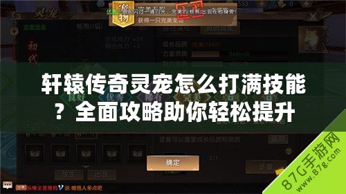 軒轅傳奇靈寵怎么打滿技能？全面攻略助你輕松提升