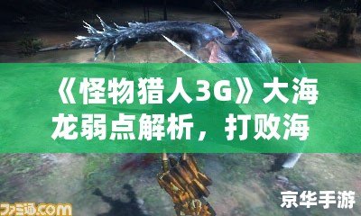 《怪物獵人3G》大海龍弱點解析，打敗海龍從此不再難！