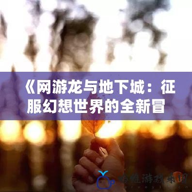 《網(wǎng)游龍與地下城：征服幻想世界的全新冒險》