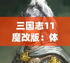 三國志11魔改版：體驗極致策略與創(chuàng)新玩法的巔峰之作