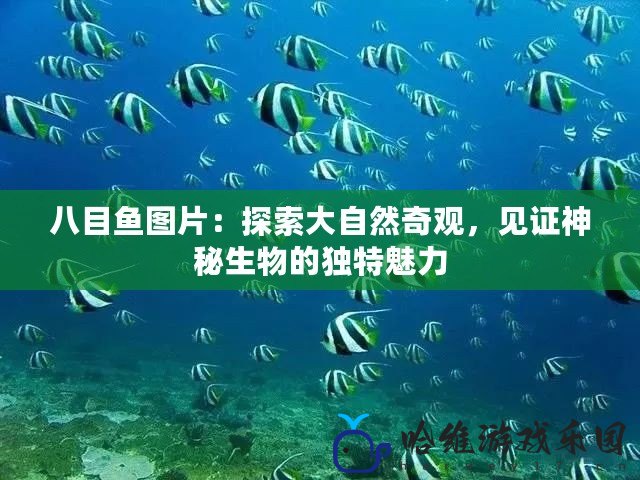 八目魚圖片：探索大自然奇觀，見證神秘生物的獨特魅力