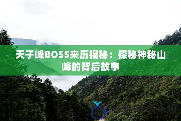 天子峰BOSS來歷揭秘：探秘神秘山峰的背后故事