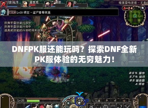 DNFPK服還能玩嗎？探索DNF全新PK服體驗的無窮魅力！