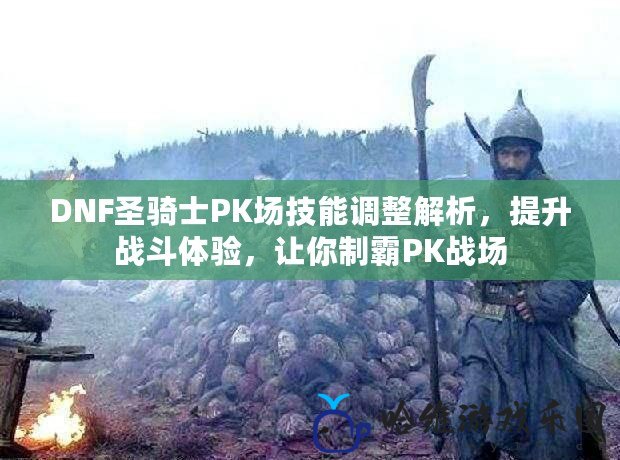 DNF圣騎士PK場技能調整解析，提升戰斗體驗，讓你制霸PK戰場