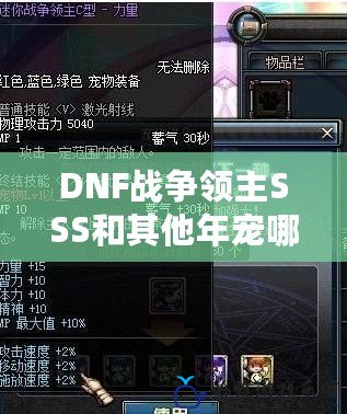 DNF戰爭領主SSS和其他年寵哪個好？全面分析與比較