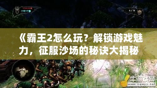 《霸王2怎么玩？解鎖游戲魅力，征服沙場的秘訣大揭秘！》