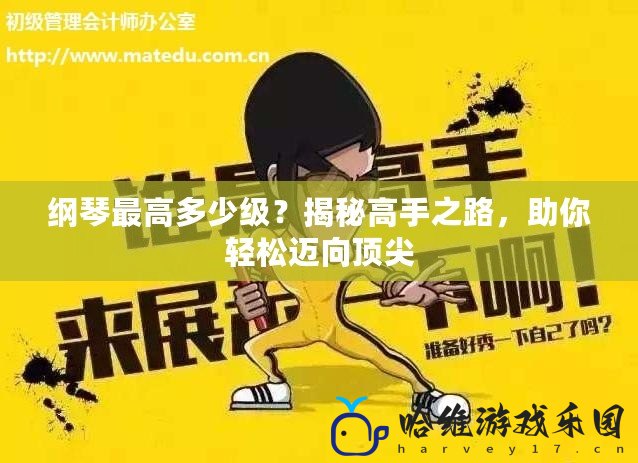 綱琴最高多少級(jí)？揭秘高手之路，助你輕松邁向頂尖