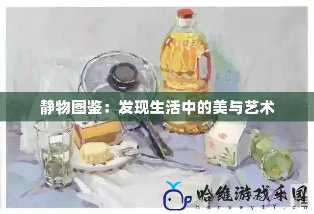 靜物圖鑒：發現生活中的美與藝術