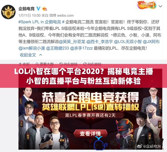 LOL小智在哪個平臺2020？揭秘電競主播小智的直播平臺與粉絲互動新體驗