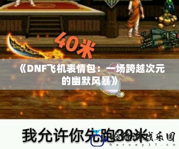 《DNF飛機表情包：一場跨越次元的幽默風暴》