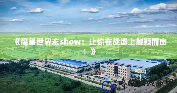 《魔獸世界宏show：讓你在戰場上脫穎而出！》