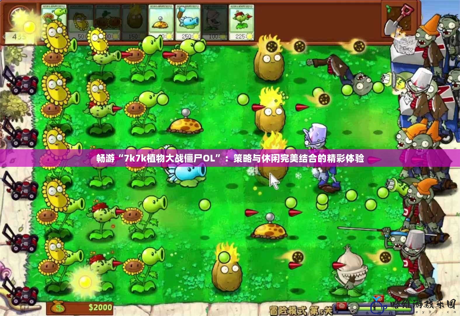 暢游“7k7k植物大戰(zhàn)僵尸OL”：策略與休閑完美結合的精彩體驗