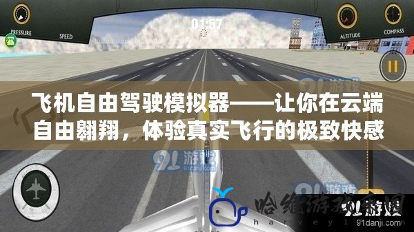 飛機自由駕駛模擬器——讓你在云端自由翱翔，體驗真實飛行的極致快感