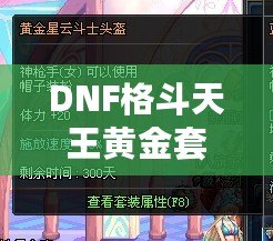 DNF格斗天王黃金套永久，開啟你的戰(zhàn)斗新紀元