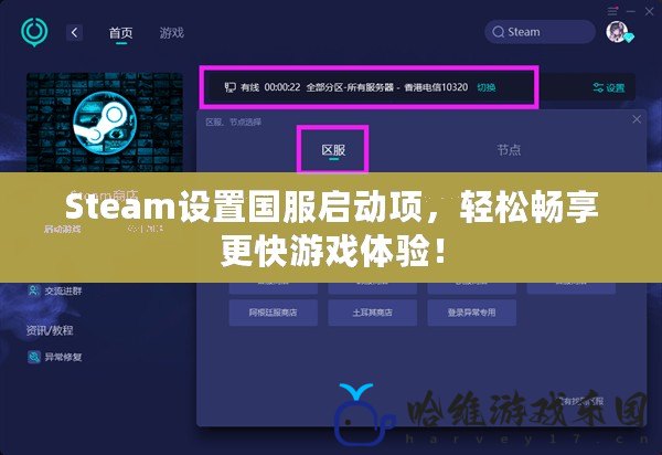 Steam設置國服啟動項，輕松暢享更快游戲體驗！