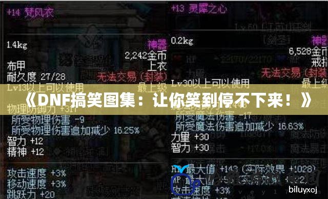 《DNF搞笑圖集：讓你笑到停不下來！》