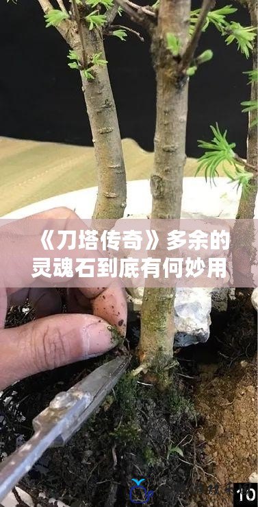 《刀塔傳奇》多余的靈魂石到底有何妙用？輕松提升戰(zhàn)力的秘訣！