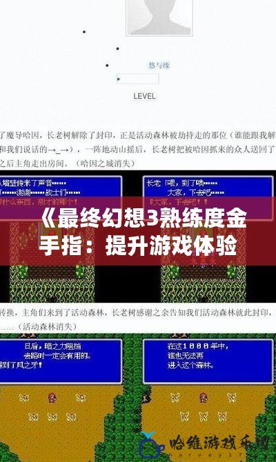 《最終幻想3熟練度金手指：提升游戲體驗的必備工具》