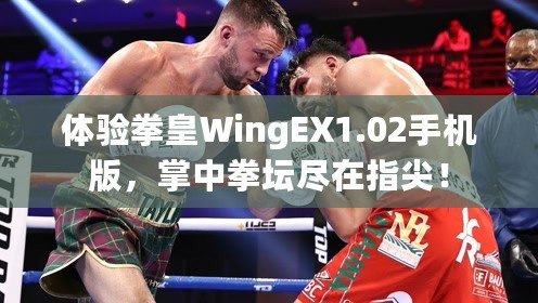 體驗拳皇WingEX1.02手機版，掌中拳壇盡在指尖！