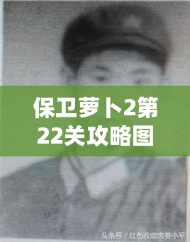 保衛蘿卜2第22關攻略圖解法，全程通關技巧詳解