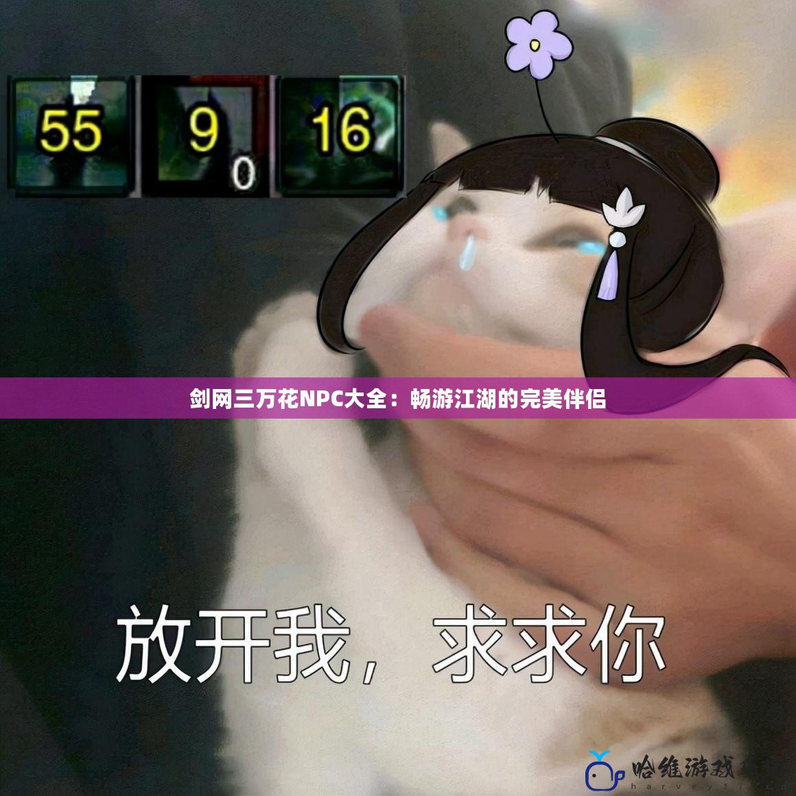 劍網三萬花NPC大全：暢游江湖的完美伴侶