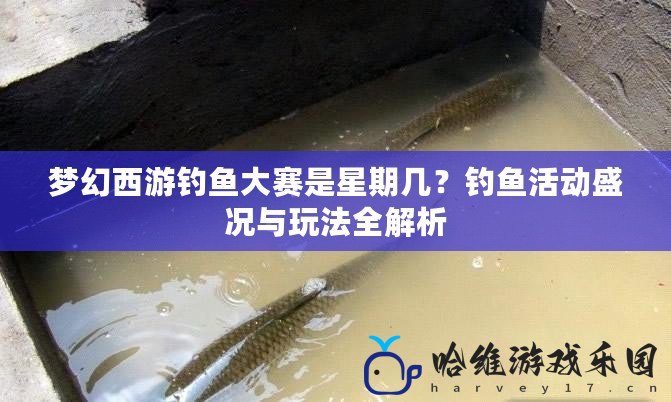 夢幻西游釣魚大賽是星期幾？釣魚活動盛況與玩法全解析