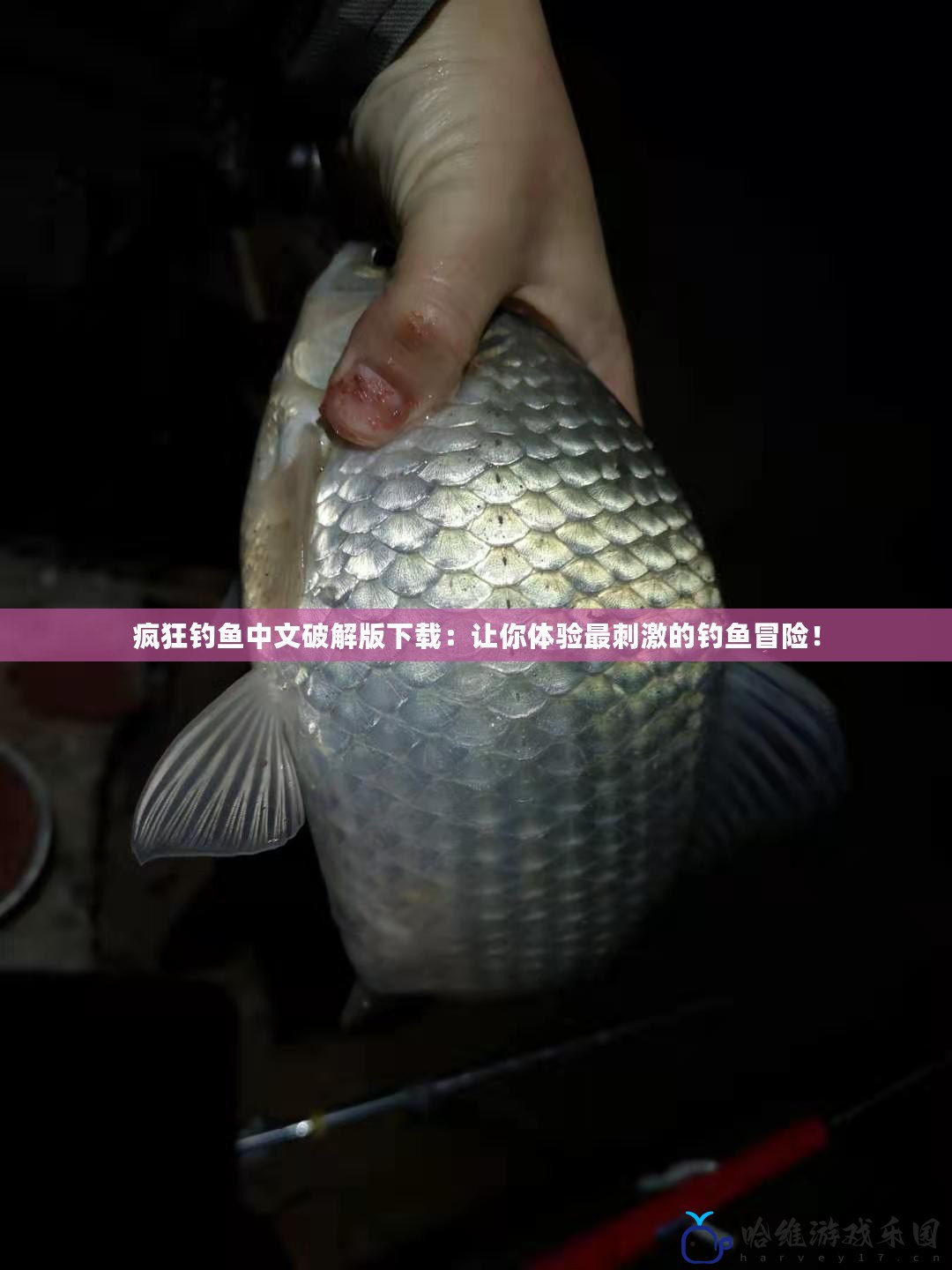 瘋狂釣魚中文破解版下載：讓你體驗(yàn)最刺激的釣魚冒險(xiǎn)！