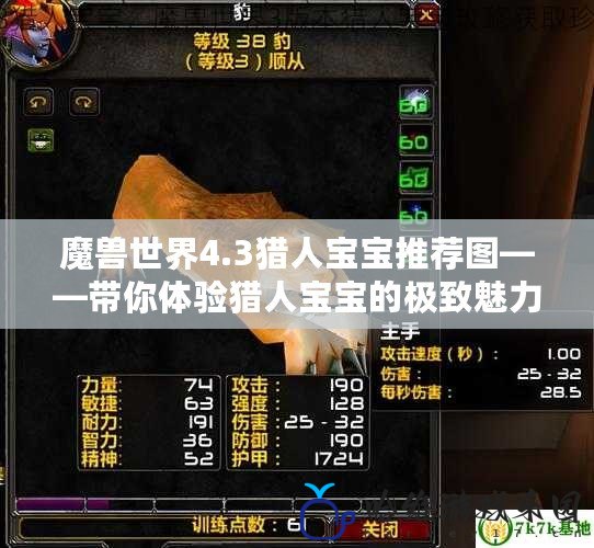 魔獸世界4.3獵人寶寶推薦圖——帶你體驗獵人寶寶的極致魅力！