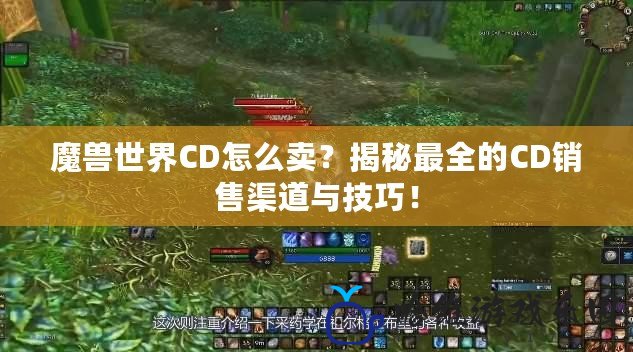 魔獸世界CD怎么賣？揭秘最全的CD銷售渠道與技巧！